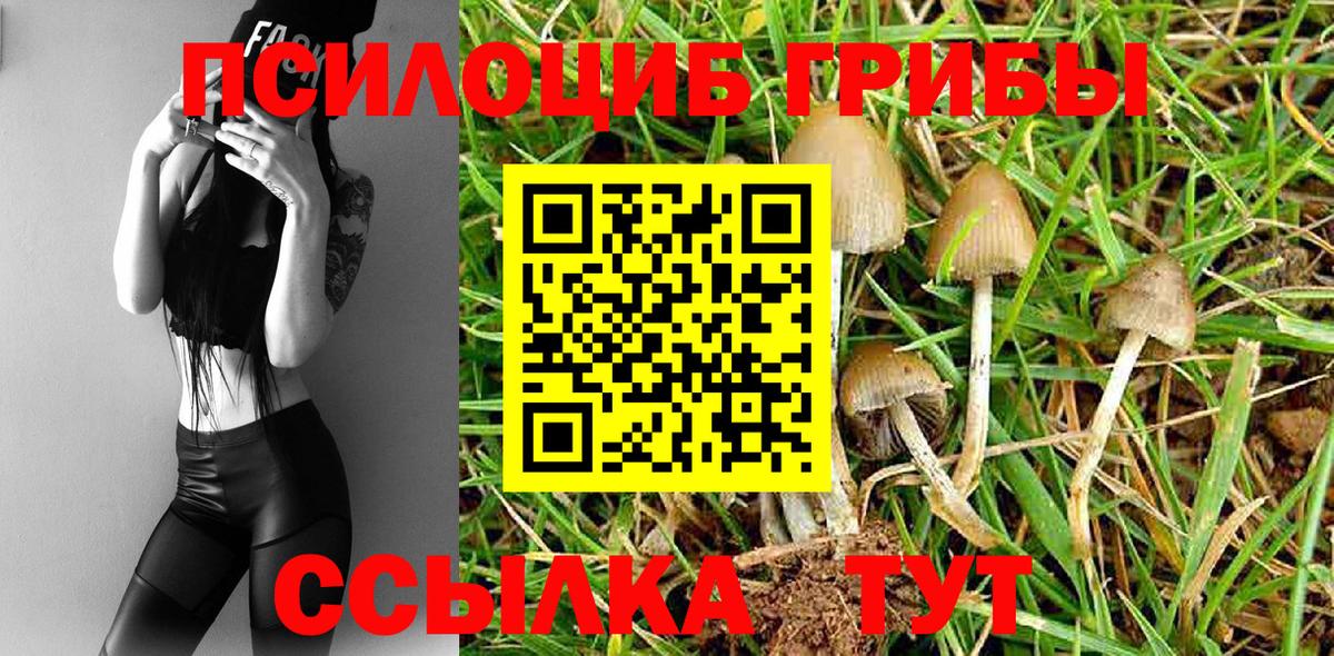 Псилоцибиновые грибы Cubensis Елизово