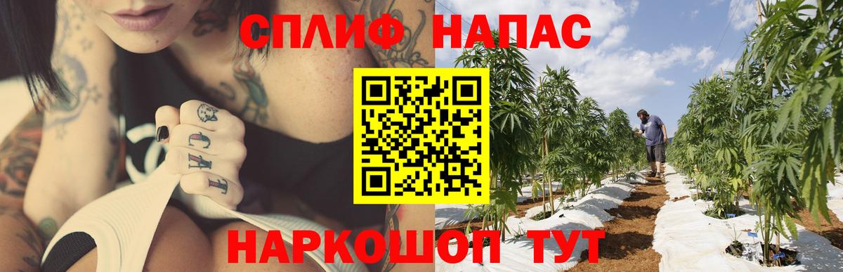 Конопля OG Kush  Бошки Шишки LSD WEED  Конопля Bruce Banner  Елизово  Канабис сатива  Вход с VPN 